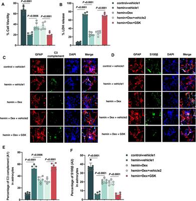 Dexmedetomidine Alleviates Intracerebral Hemorrhage-Induced Anxiety-Like Behaviors in Mice Through the Inhibition of TRPV4 Opening